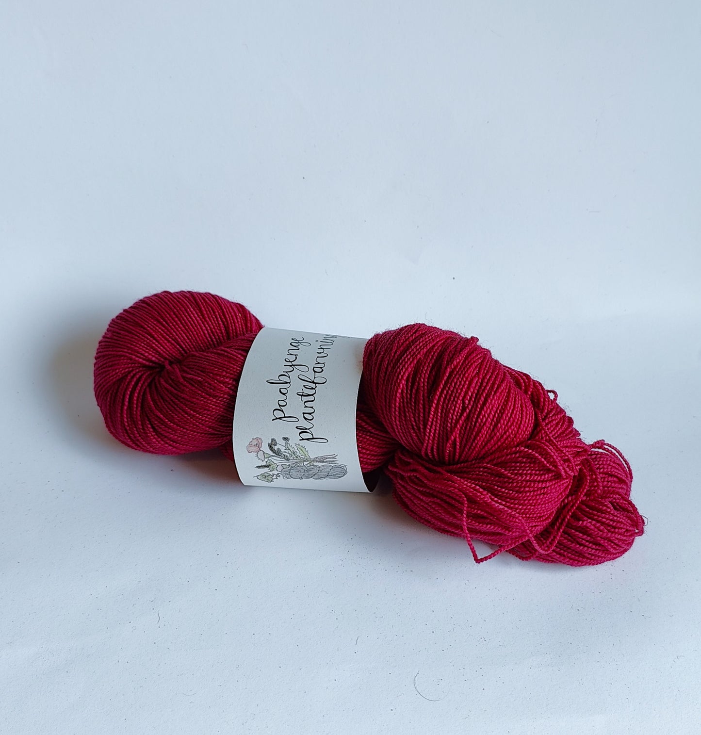 Merino – Ribes