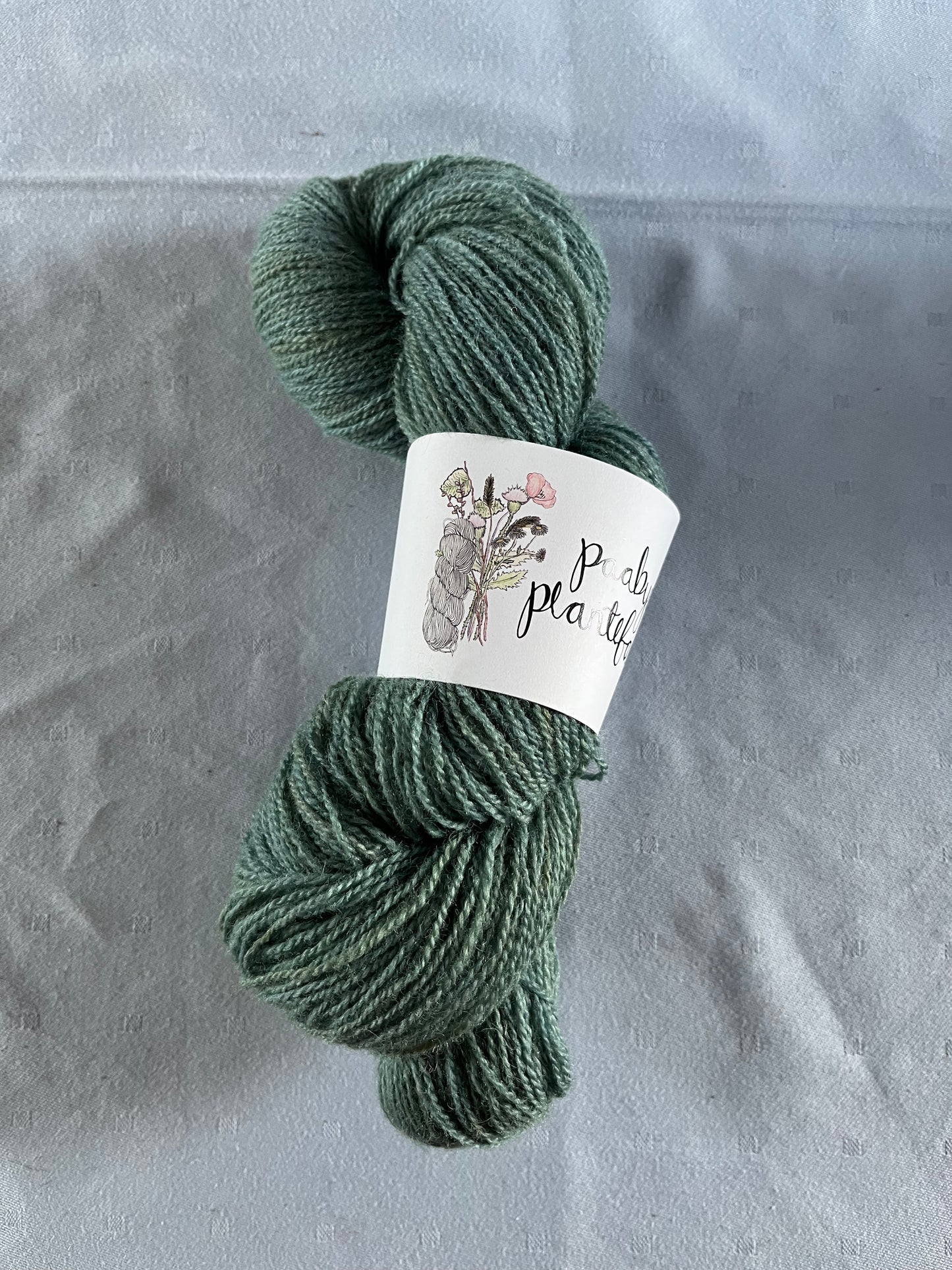 Tynd lammeuld – Søgrøn