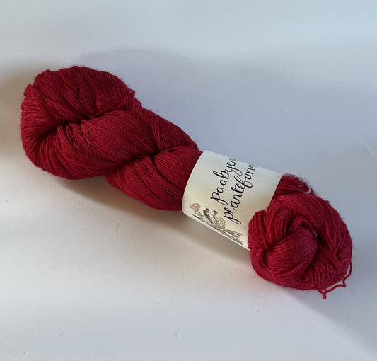 Merino Lace - Tulipan