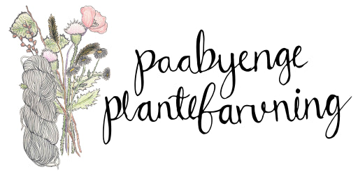 Paabyenge Plantefarvning